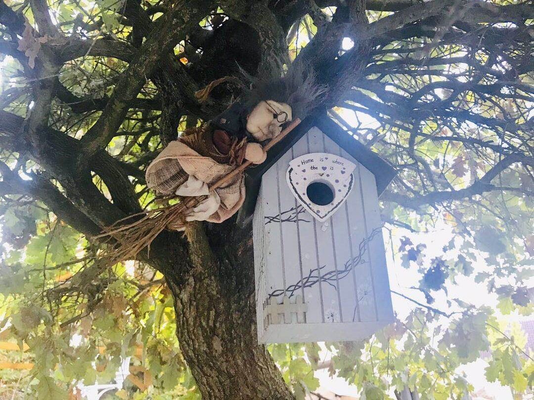 A tree with a birdhouse and a stuffed animal.