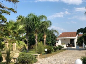 Property grounds - Affittacamere Paduli Piani (Matino)