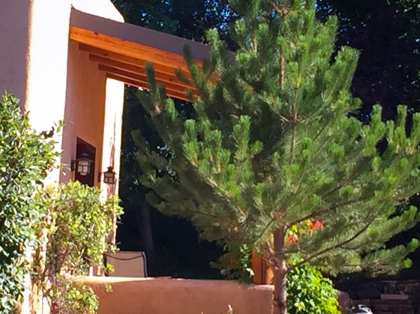 Property grounds - We Are 20 Miles From The Taos Ski Valley And 1.25 Miles From The Center Of Town. (Taos)