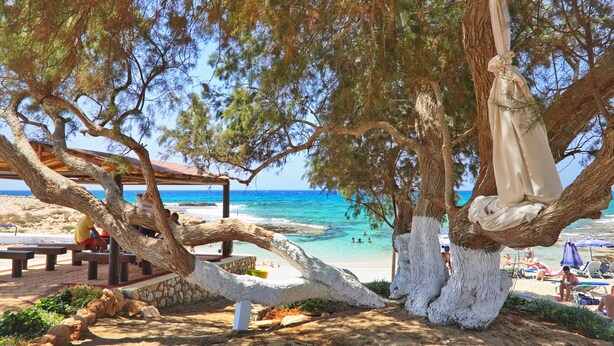 A beach scene with a wooden gazebo, benches, and a hammock under a large tree. - Pearl Beachfront Villa (Ayia Napa)