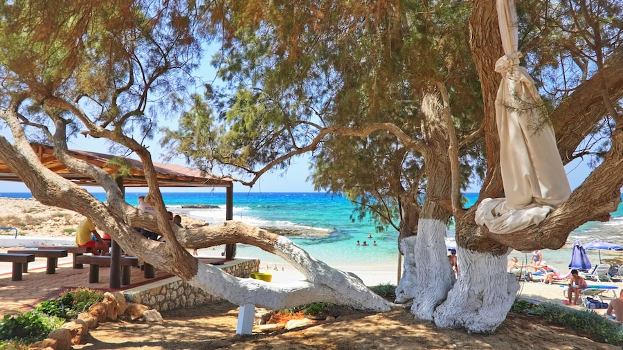 Pearl Beachfront Villa