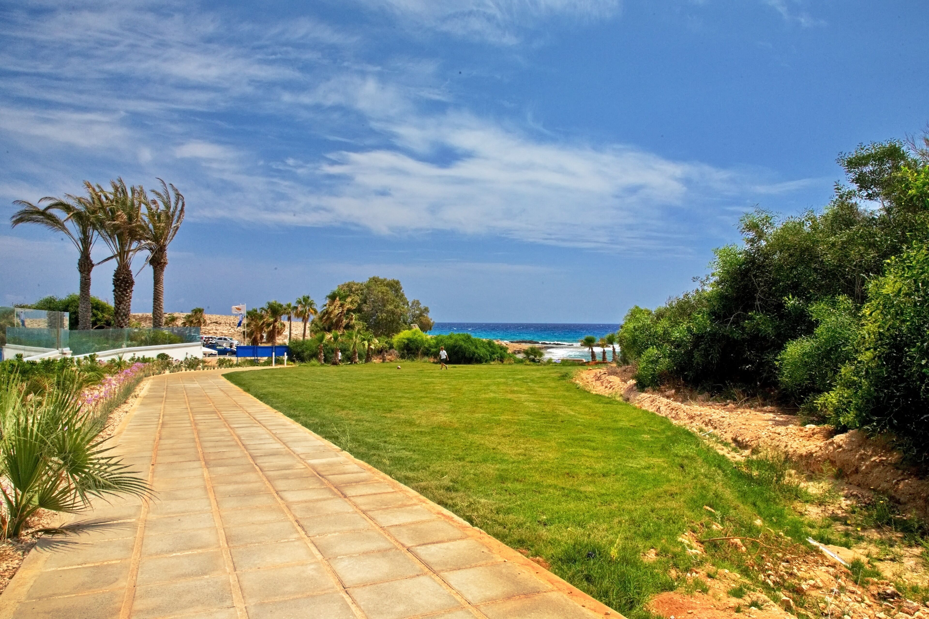 A paved pathway leading to a grassy area with palm trees and a view of the ocean.
