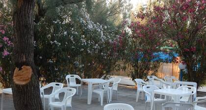 Maronda Camping