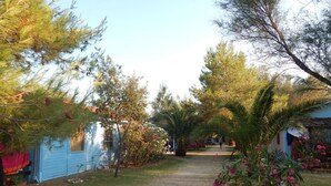 A pathway leading to a blue building with a small porch, surrounded by trees and flowering plants.
