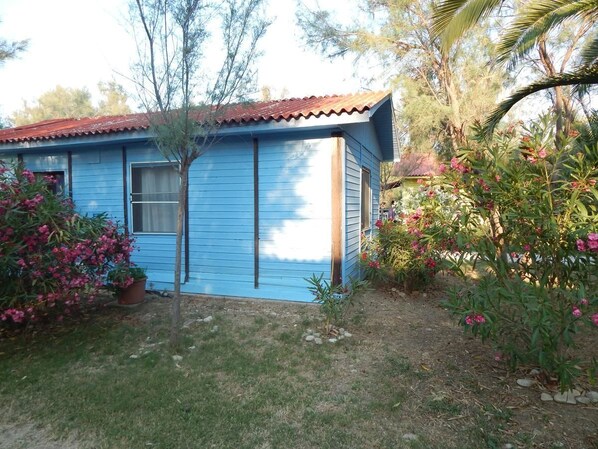 A small, single-story house with a blue exterior and a red roof.