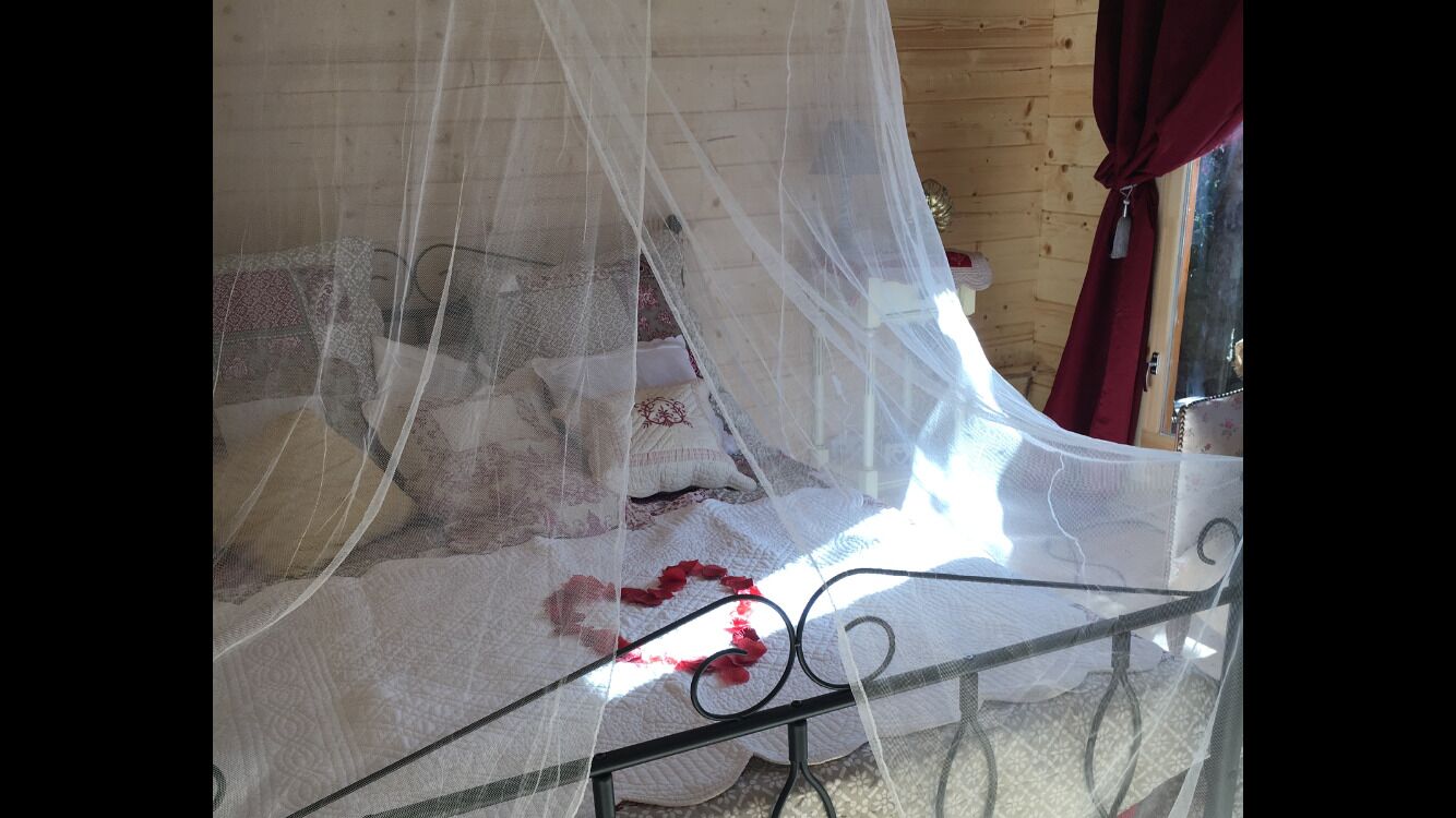 Una cama con mosquitero, estructura de metal y ventana con cortina roja.