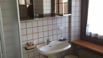 Shower, free toiletries, hair dryer, bidet