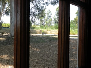 View from room