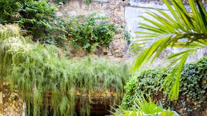 A courtyard with a stone wall, a bench, and various potted plants. - Emerson Spice Hotel (Zanzibar Town)