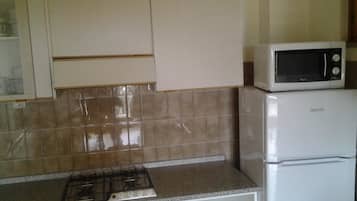 Fridge, stovetop, dishwasher, electric kettle
