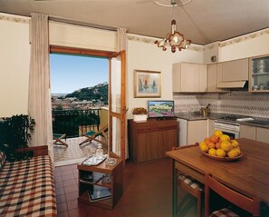 Fridge, stovetop, dishwasher, electric kettle