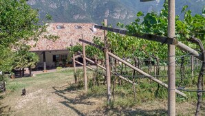 A vineyard with a rustic house, wooden trellis, and mountains in the background. - Vallarom (Avio)