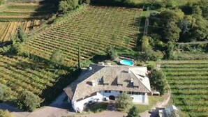 An aerial view of a property with terraced vineyards, a swimming pool, and a large house with a sloped roof. - Vallarom (Avio)