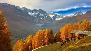 Vue depuis l’hébergement