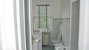 Shower, free toiletries, hair dryer, bidet