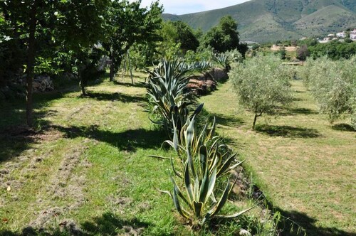 B&B La Casa dei Gelsi