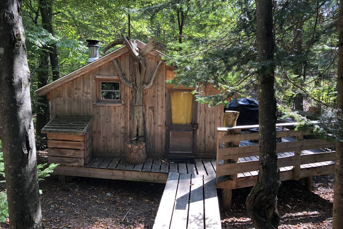 Panoramic Tree House, 2 Double Beds, Shared Bathroom, Mountain View | Free WiFi