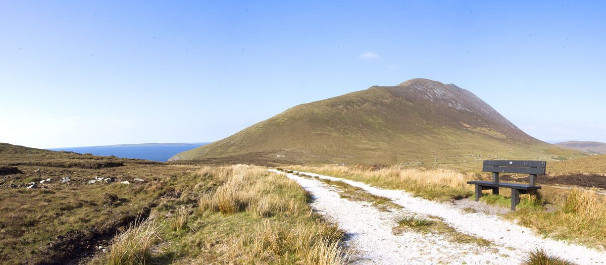 A gravel path leading to a bench in a grassy landscape with a hill in the background.