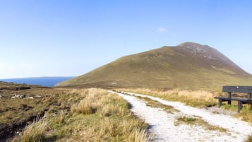 A gravel path leading to a bench in a grassy landscape with a hill in the background.