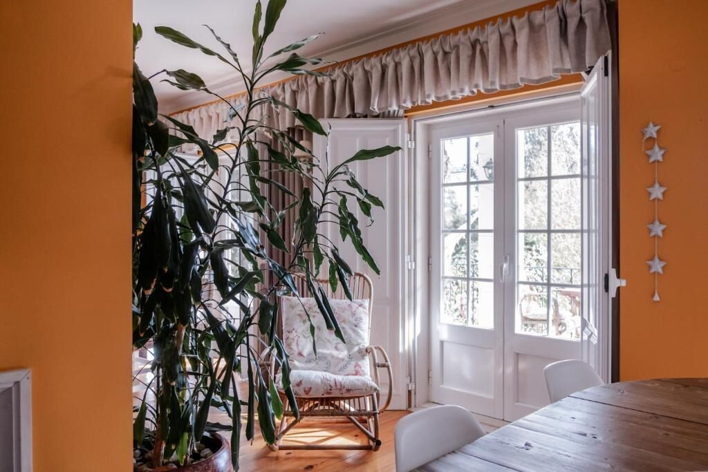Una habitación con una mesa de comedor de madera, una silla de mimbre, una planta en maceta y una puerta blanca con paneles de vidrio.