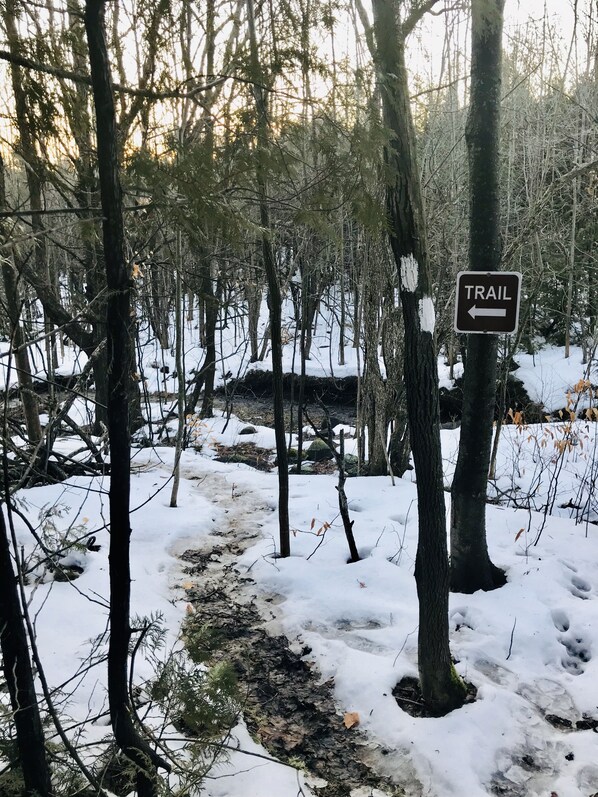 Hiking