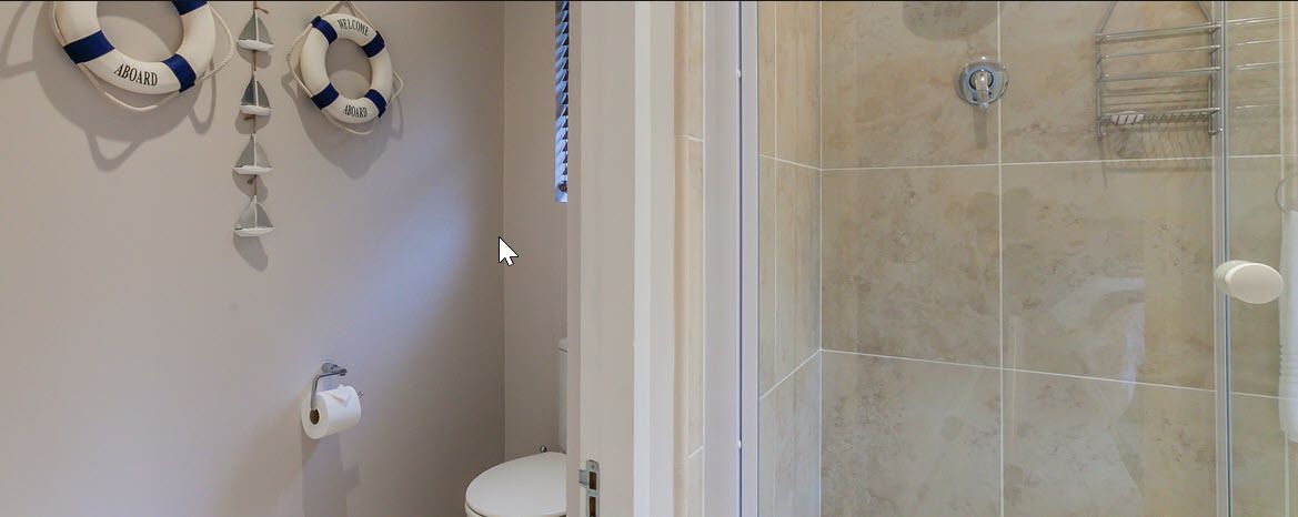 Un baño con inodoro, ducha y anillos salvavidas en la pared.