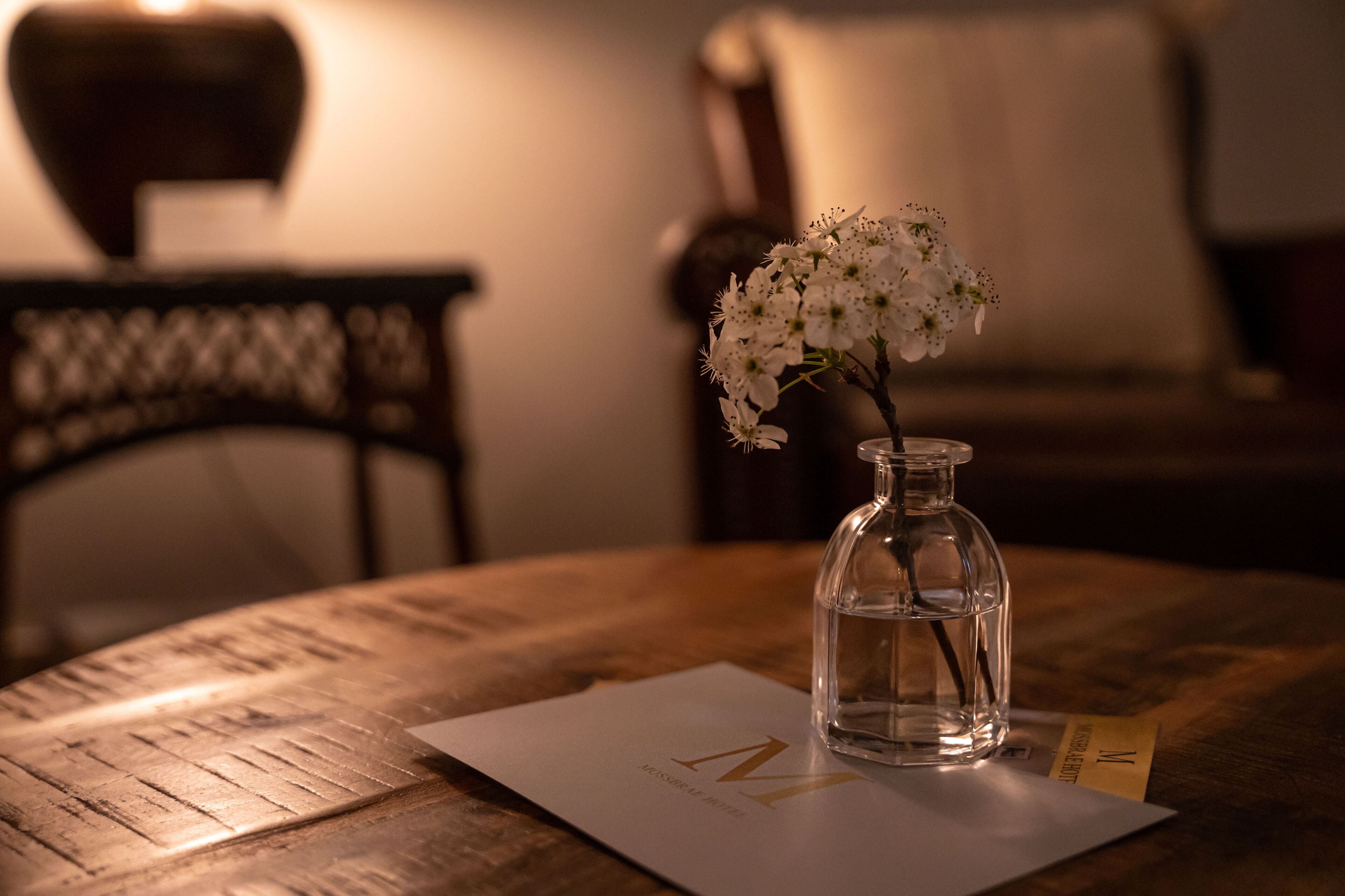 room, 1 king bed (ada accessible, room #7) | iron/ironing board, free wifi, bed sheets