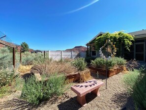 A garden with a bench, various plants, and a house in the background.