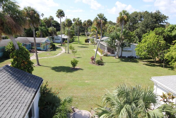 A residential area with multiple houses, a well-maintained lawn, and several palm trees.