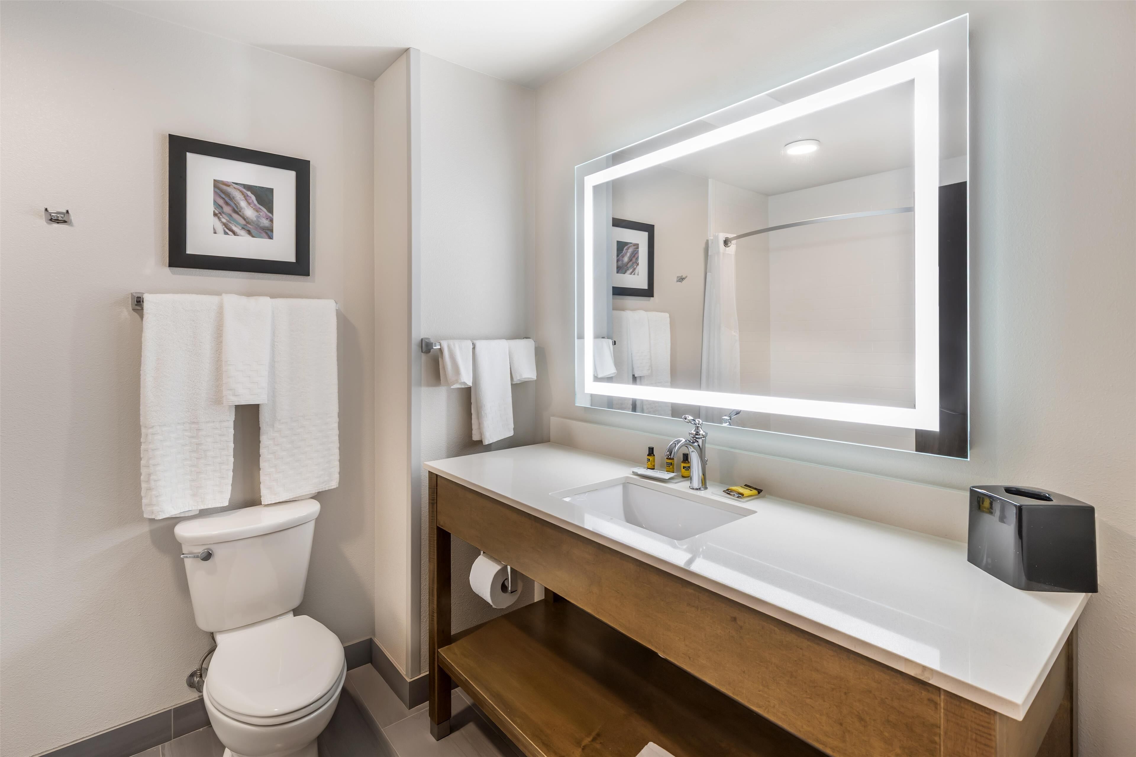 Un baño moderno con inodoro, dos lavamanos, un espejo grande y cabina de ducha.