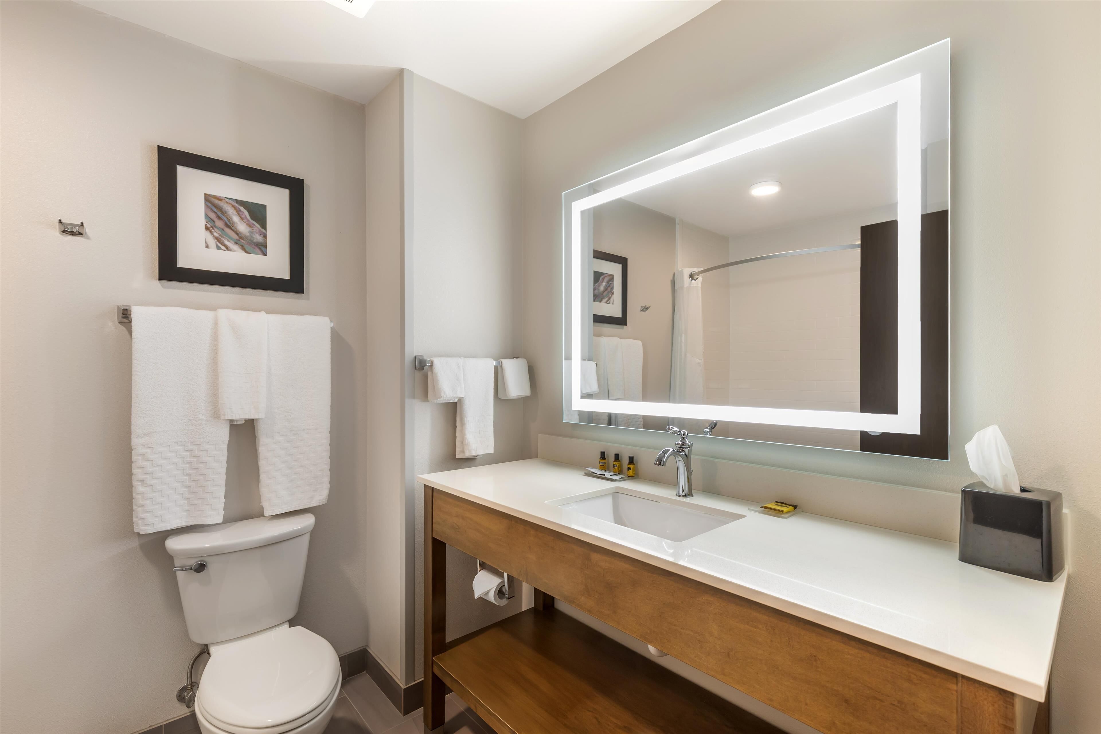 A modern bathroom with a white sink, a large mirror, and a toilet.