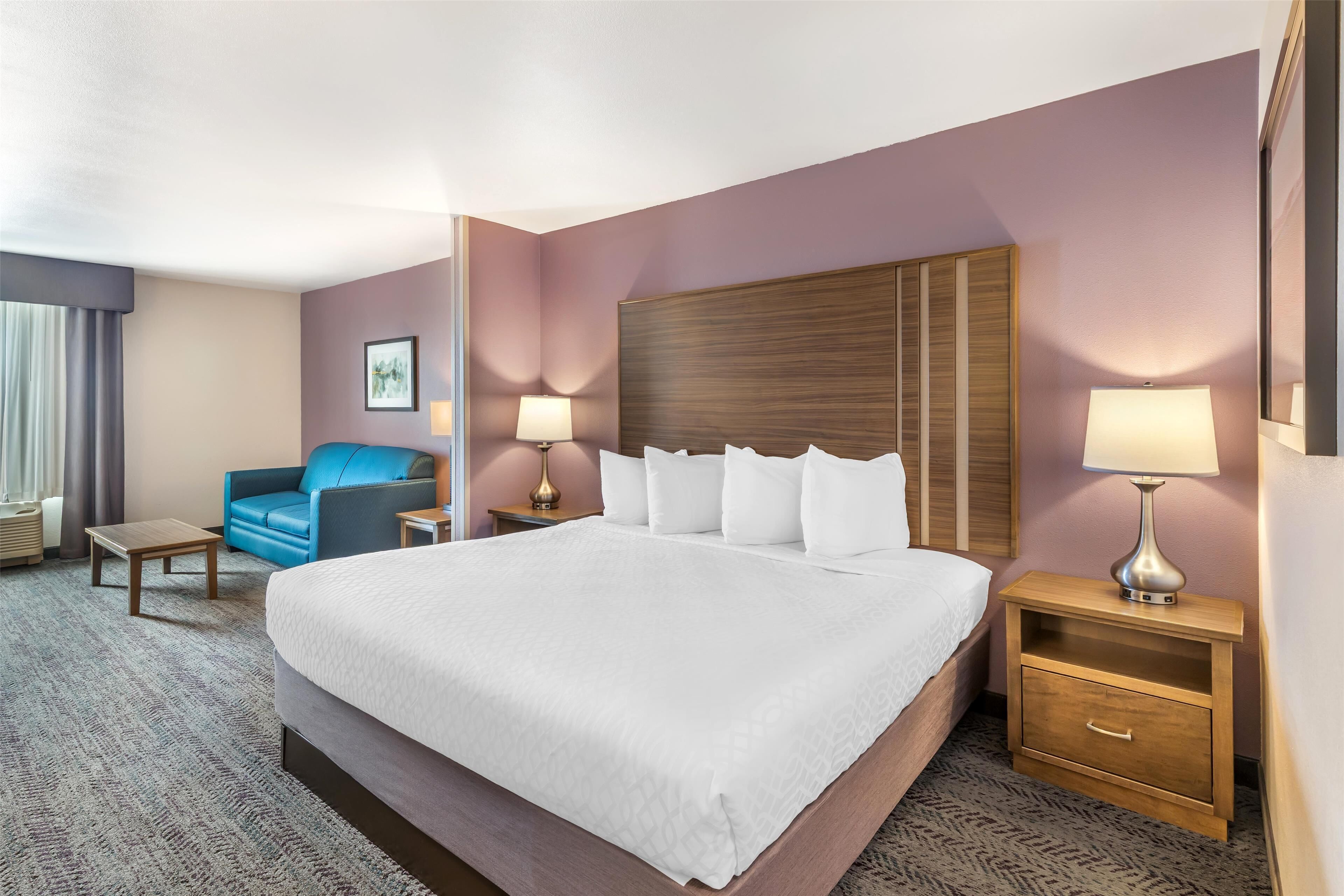 suite, 1 king bed, non smoking, microwave | iron/ironing board, free wifi, bed sheets