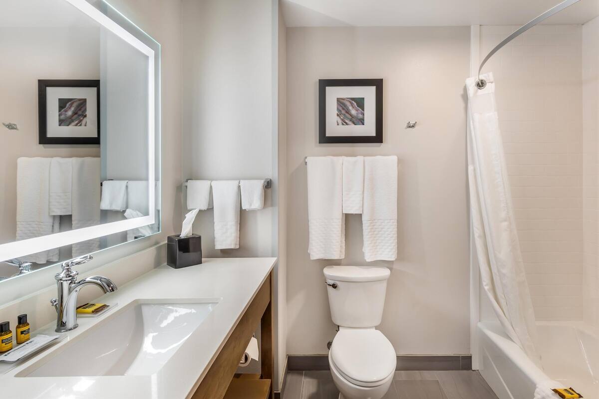 standard room, 1 king bed, non smoking, microwave | bathroom | combined shower/bathtub, free toiletries, hair dryer, towels