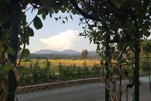 獨棟房屋 (3 Bedrooms) | 山景