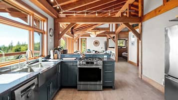 Fridge, oven, stovetop, dishwasher