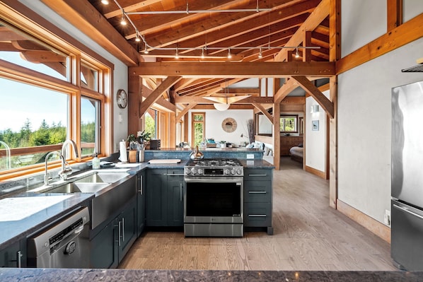 Fridge, oven, stovetop, dishwasher