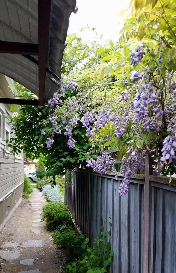 Garden - '1900' House ~ Near Osf~sleeps 8 (Ashland)