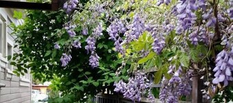 1900 之家飯店 - 近 OSF - 可住 8 人