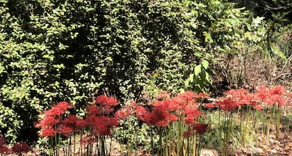 Cottage On Beech Haven In The Woods- 2.8 miles from UGA Campus