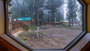 View from property - #46 The Cabins at Hyatt Lake - Sleeps 5 - Hot Tub (Ashland)