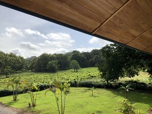 Property grounds - PAVONES Modern BUNGALOW, Close to SURF! WIFI, AC, HOT H20! 2 min Walk to Beach. (Pavones)