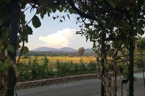 Racing Horse Ranch and Guest House with Golf