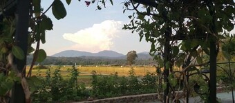 Racing Horse Ranch and Guest House with Golf