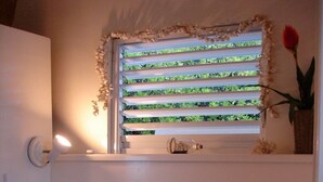 Et soveværelse med en seng, to puder, et natbord, et vindue med persienner og en vase med en blomst.