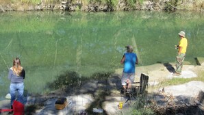 Un grupo de personas pescando en un cuerpo de agua tranquilo con vista despejada a la vegetación circundante.