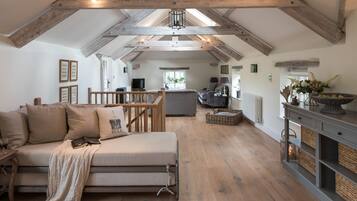 TV connectée, cheminée, lecteur de DVD, livres