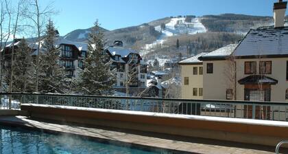 Centennial Studio Condo Unit no. 13a