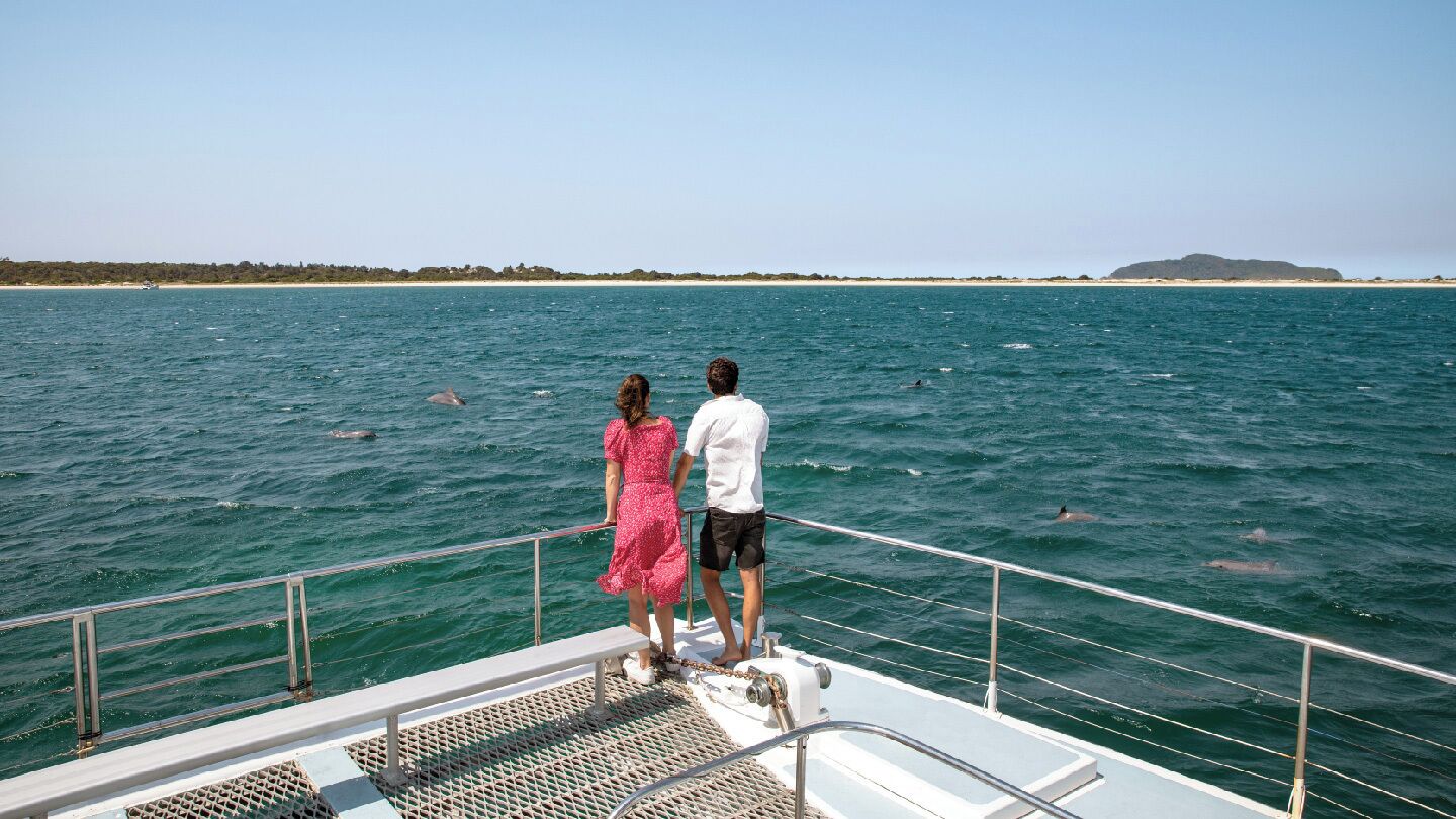 A couple on a boat deck overlooking a calm sea with dolphins swimming nearby.