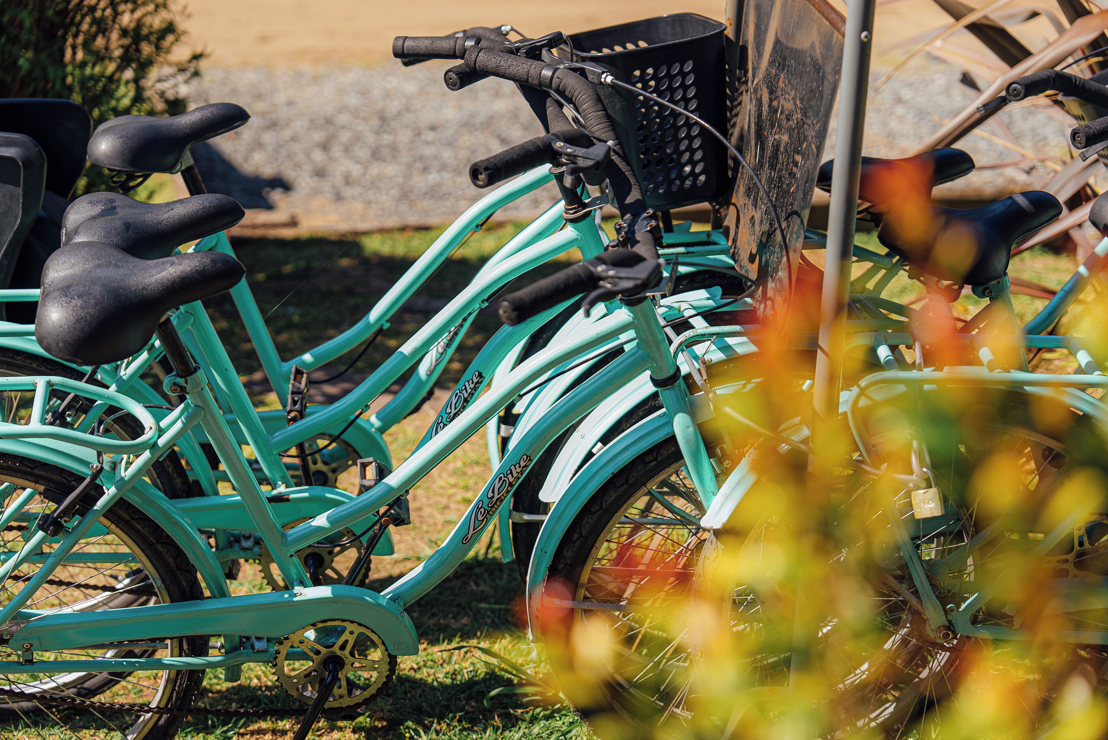 A teal bicycle with a basket and a lock, parked on grass.