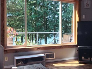 Smart TV, chimenea, reproductor de DVD y libros